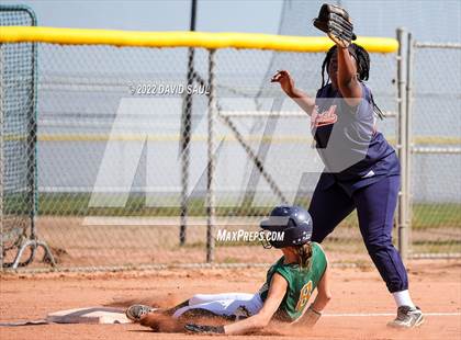 Thumbnail 1 in Mitchell @ Falcon photogallery.