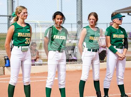 Thumbnail 3 in Mitchell @ Falcon photogallery.