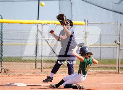 Thumbnail 3 in Mitchell @ Falcon photogallery.