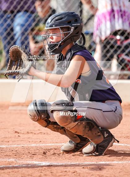 Thumbnail 3 in Mitchell @ Falcon photogallery.