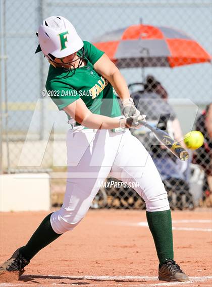 Thumbnail 3 in Mitchell @ Falcon photogallery.