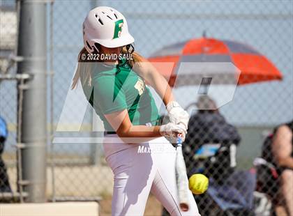 Thumbnail 3 in Mitchell @ Falcon photogallery.
