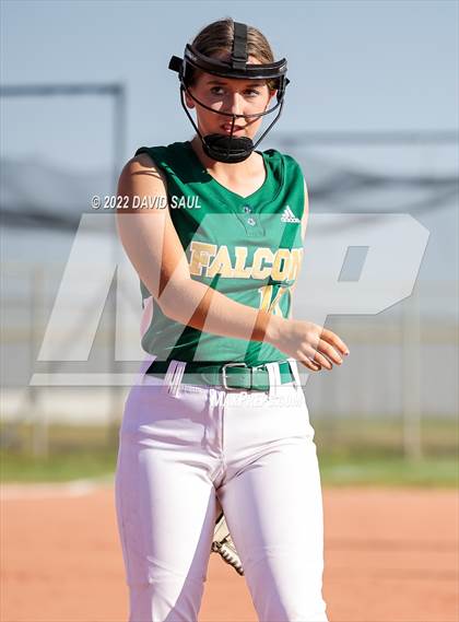 Thumbnail 1 in Mitchell @ Falcon photogallery.