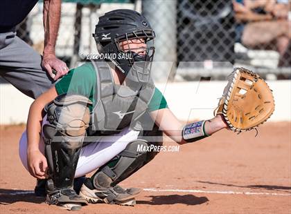 Thumbnail 3 in Mitchell @ Falcon photogallery.