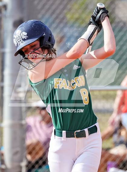 Thumbnail 2 in Mitchell @ Falcon photogallery.