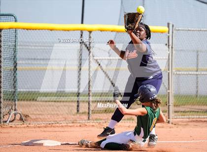 Thumbnail 2 in Mitchell @ Falcon photogallery.