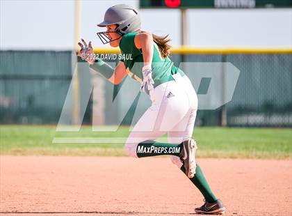 Thumbnail 1 in Mitchell @ Falcon photogallery.
