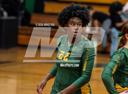 Thumbnail 1 in Western Harnett @ Pine Forest photogallery.