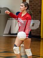 Photo from the gallery "Western Harnett @ Pine Forest"