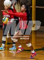 Photo from the gallery "Western Harnett @ Pine Forest"