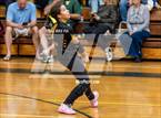 Photo from the gallery "Western Harnett @ Pine Forest"