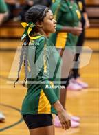 Photo from the gallery "Western Harnett @ Pine Forest"