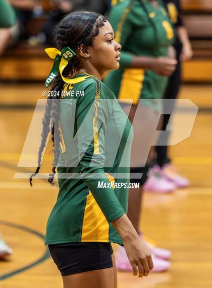 Thumbnail 1 in Western Harnett @ Pine Forest photogallery.
