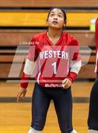 Photo from the gallery "Western Harnett @ Pine Forest"