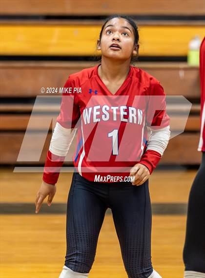 Thumbnail 3 in Western Harnett @ Pine Forest photogallery.