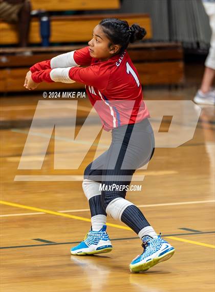 Thumbnail 3 in Western Harnett @ Pine Forest photogallery.