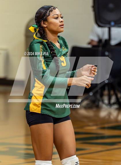 Thumbnail 3 in Western Harnett @ Pine Forest photogallery.