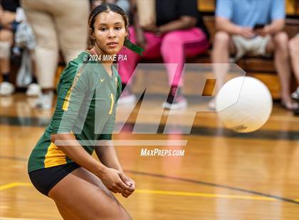 Thumbnail 3 in Western Harnett @ Pine Forest photogallery.