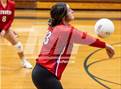 Photo from the gallery "Western Harnett @ Pine Forest"