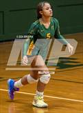 Photo from the gallery "Western Harnett @ Pine Forest"