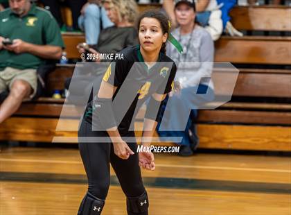Thumbnail 2 in Western Harnett @ Pine Forest photogallery.