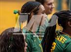 Photo from the gallery "Western Harnett @ Pine Forest"