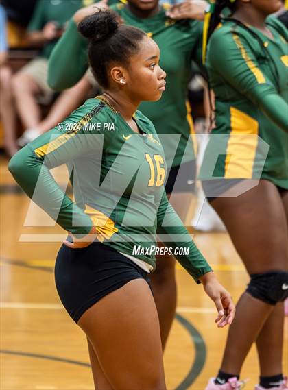 Thumbnail 3 in Western Harnett @ Pine Forest photogallery.