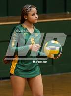 Photo from the gallery "Western Harnett @ Pine Forest"