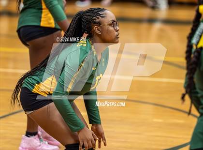 Thumbnail 2 in Western Harnett @ Pine Forest photogallery.