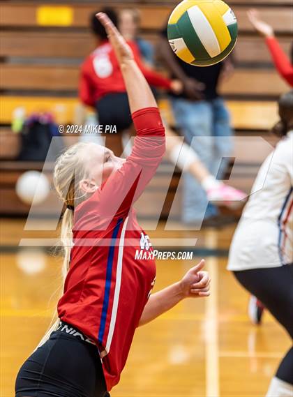 Thumbnail 3 in Western Harnett @ Pine Forest photogallery.