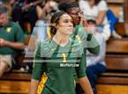 Photo from the gallery "Western Harnett @ Pine Forest"