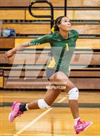 Photo from the gallery "Western Harnett @ Pine Forest"