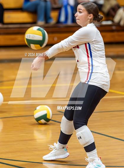 Thumbnail 3 in Western Harnett @ Pine Forest photogallery.