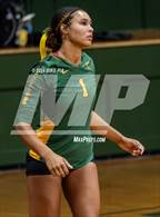 Photo from the gallery "Western Harnett @ Pine Forest"