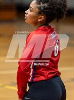 Photo from the gallery "Western Harnett @ Pine Forest"