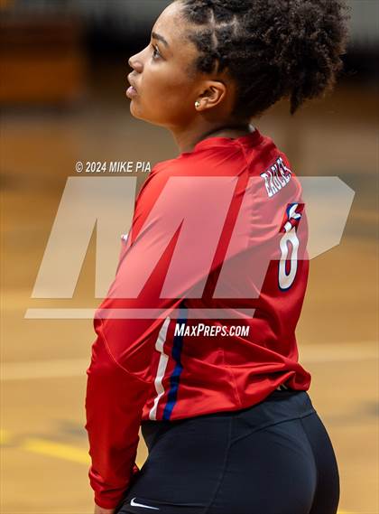 Thumbnail 3 in Western Harnett @ Pine Forest photogallery.