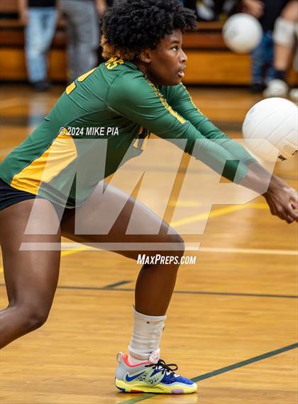 Thumbnail 2 in Western Harnett @ Pine Forest photogallery.