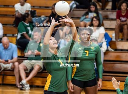 Thumbnail 1 in Western Harnett @ Pine Forest photogallery.