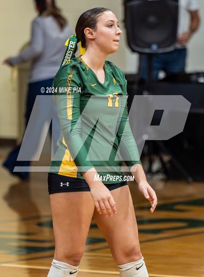 Thumbnail 3 in Western Harnett @ Pine Forest photogallery.