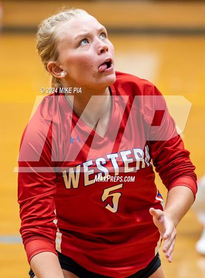 Thumbnail 1 in Western Harnett @ Pine Forest photogallery.