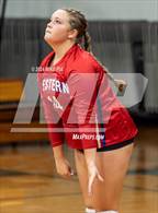 Photo from the gallery "Western Harnett @ Pine Forest"