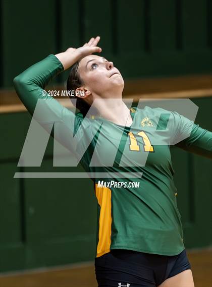 Thumbnail 2 in Western Harnett @ Pine Forest photogallery.