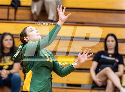 Thumbnail 2 in Western Harnett @ Pine Forest photogallery.