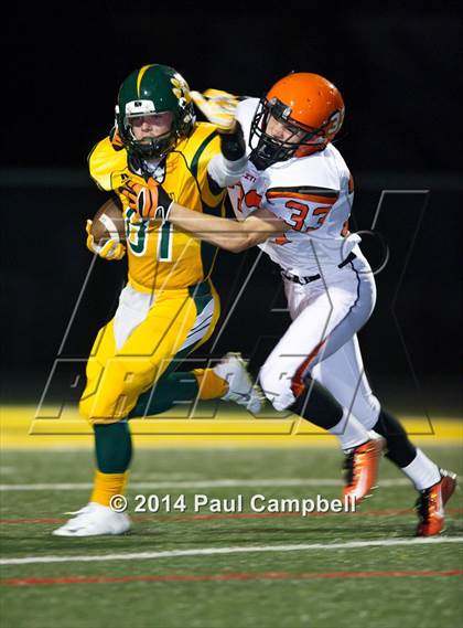 Thumbnail 3 in Corona del Sol @ Horizon photogallery.