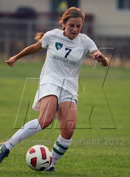 Thumbnail 3 in Timberline @ Mountain View photogallery.