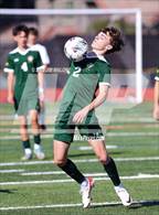 Photo from the gallery "Alameda @ San Ramon Valley"