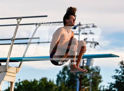 Thumbnail 3 in AIA Division I,III Diving Finals photogallery.