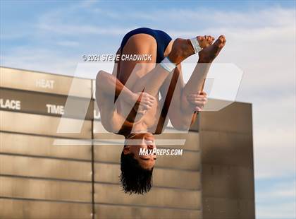 Thumbnail 1 in AIA Division I,III Diving Finals photogallery.