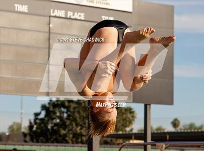 Thumbnail 1 in AIA Division I,III Diving Finals photogallery.