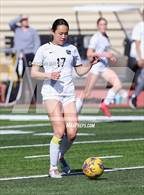 Photo from the gallery "Archbishop Mitty @ Saint Francis"